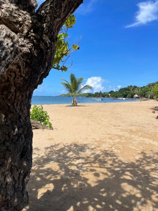 Appartement Vue Mer A 2 Minutes A Pied Des Plages Tartane La Trinite Exterior photo